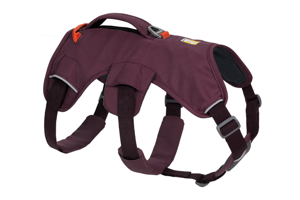 ruffwear-web-master-harnais-pour-chien-avec-poign-e image 1