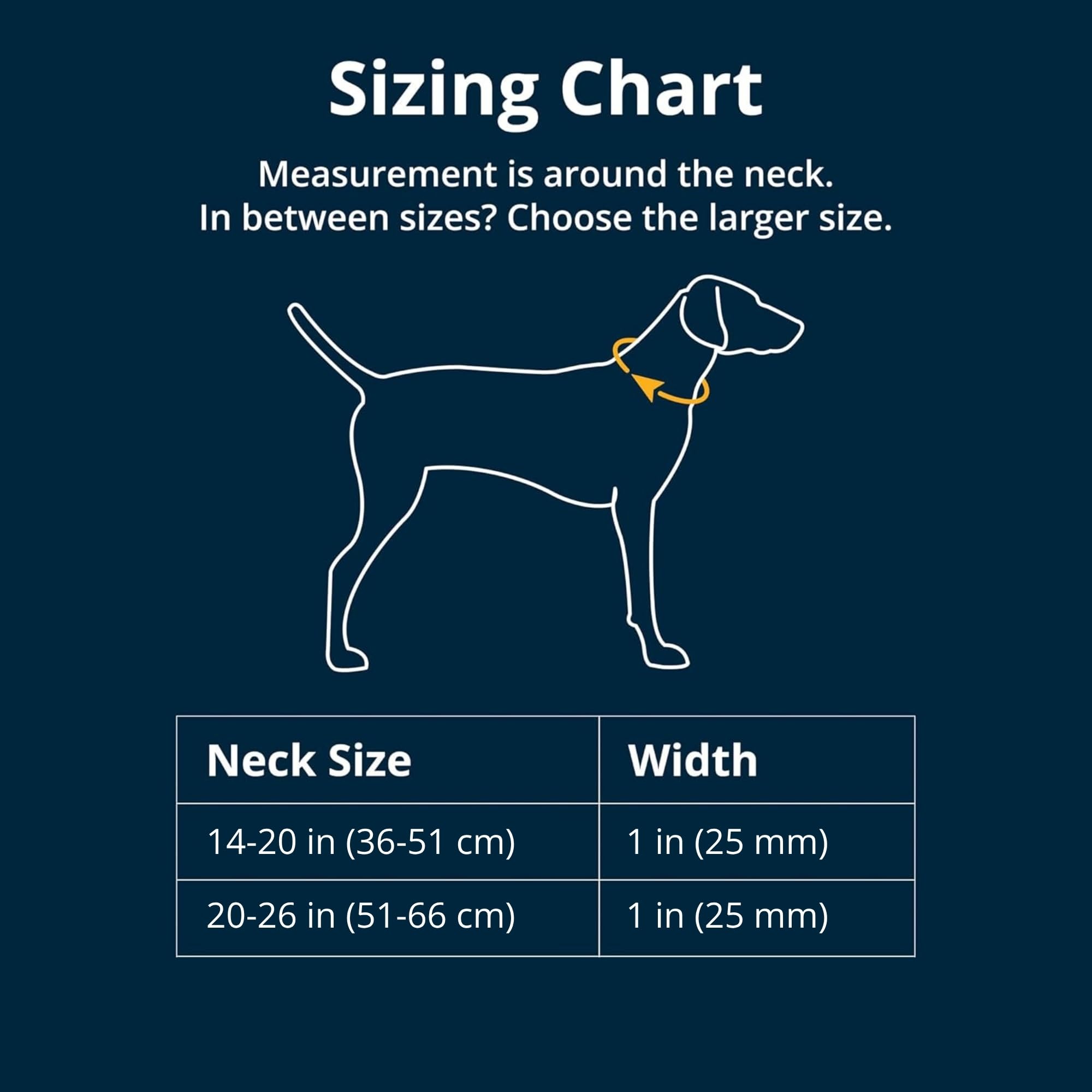 ruffwear-confluence-collier-imperm-able-pour-chien-36-51-cm-bleu-lagon image 2