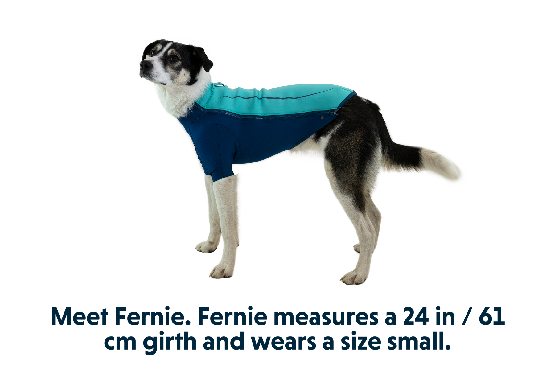 ruffwear-undercoat-veste-n-opr-ne-chien-eau-froide image 8