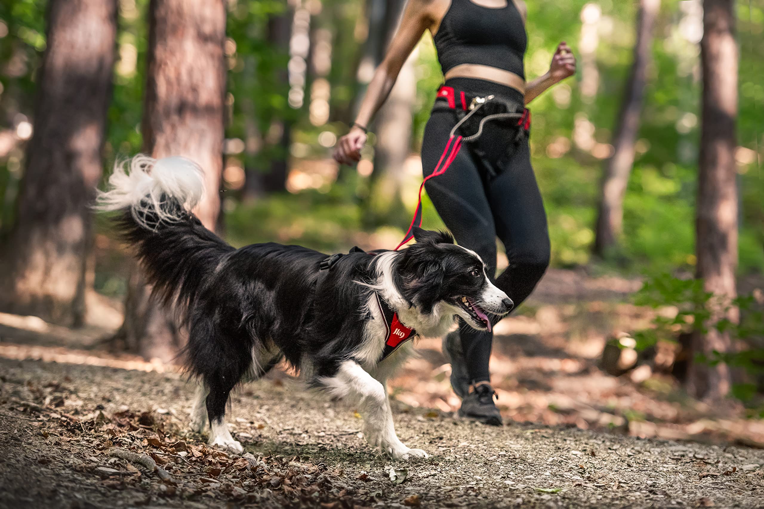 julius-k9-jk9-speed-belt-ceinture-de-jogging-canicross-rouge image 3