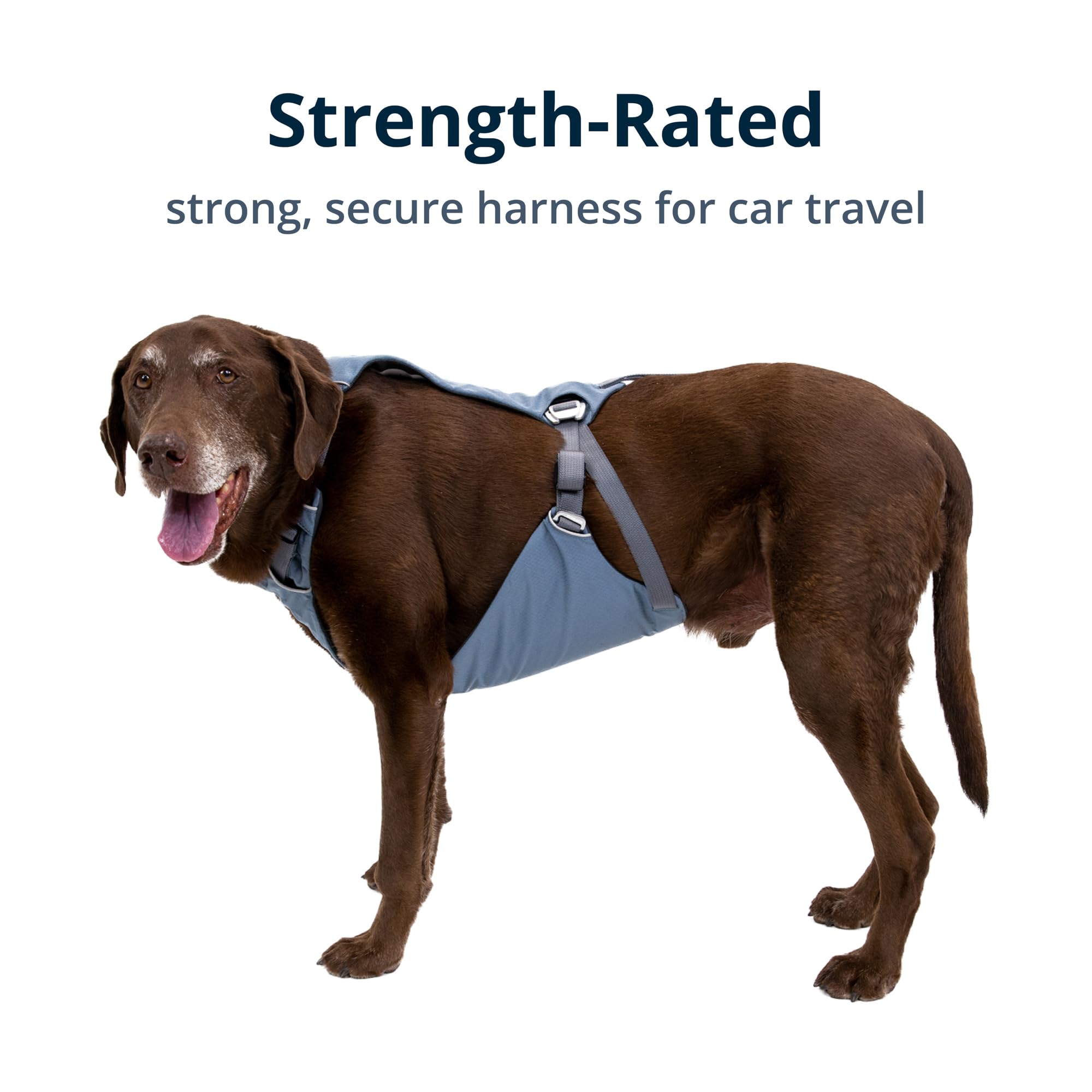 ruffwear-load-up-harnais-de-voiture-bleu-ardoise-taille-xs image 4