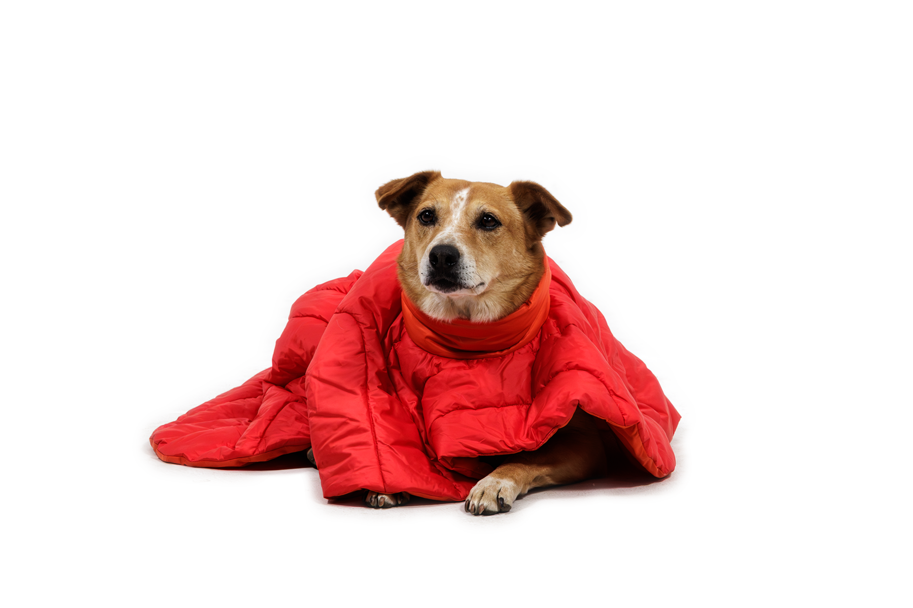 ruffwear-palisades-sleep-poncho-poncho-sac-de-couchage-chien image 3