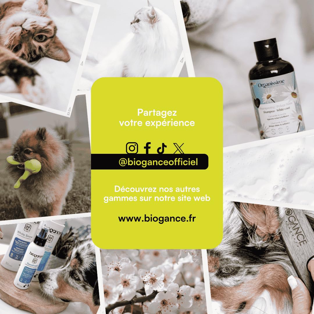 biogance-terrier-secret-shampooing-poils-durs-chien image 6