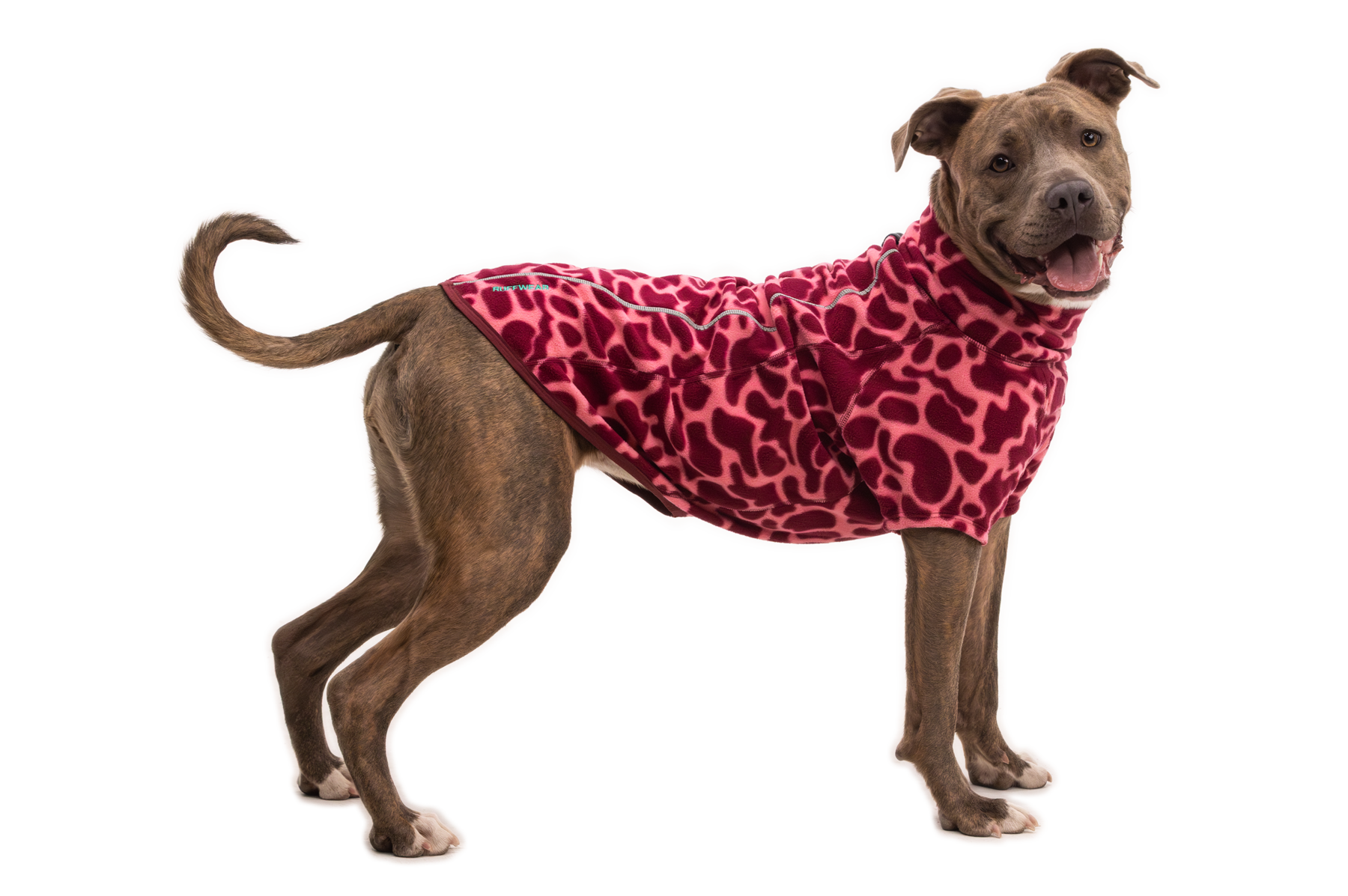 ruffwear-climate-changer-veste-polaire-pour-chien image 2