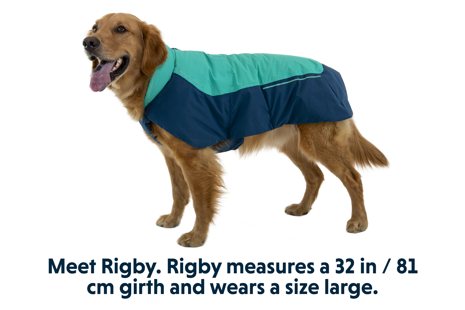 ruffwear-vert-gilet-imperm-able-isol-pour-chien image 3