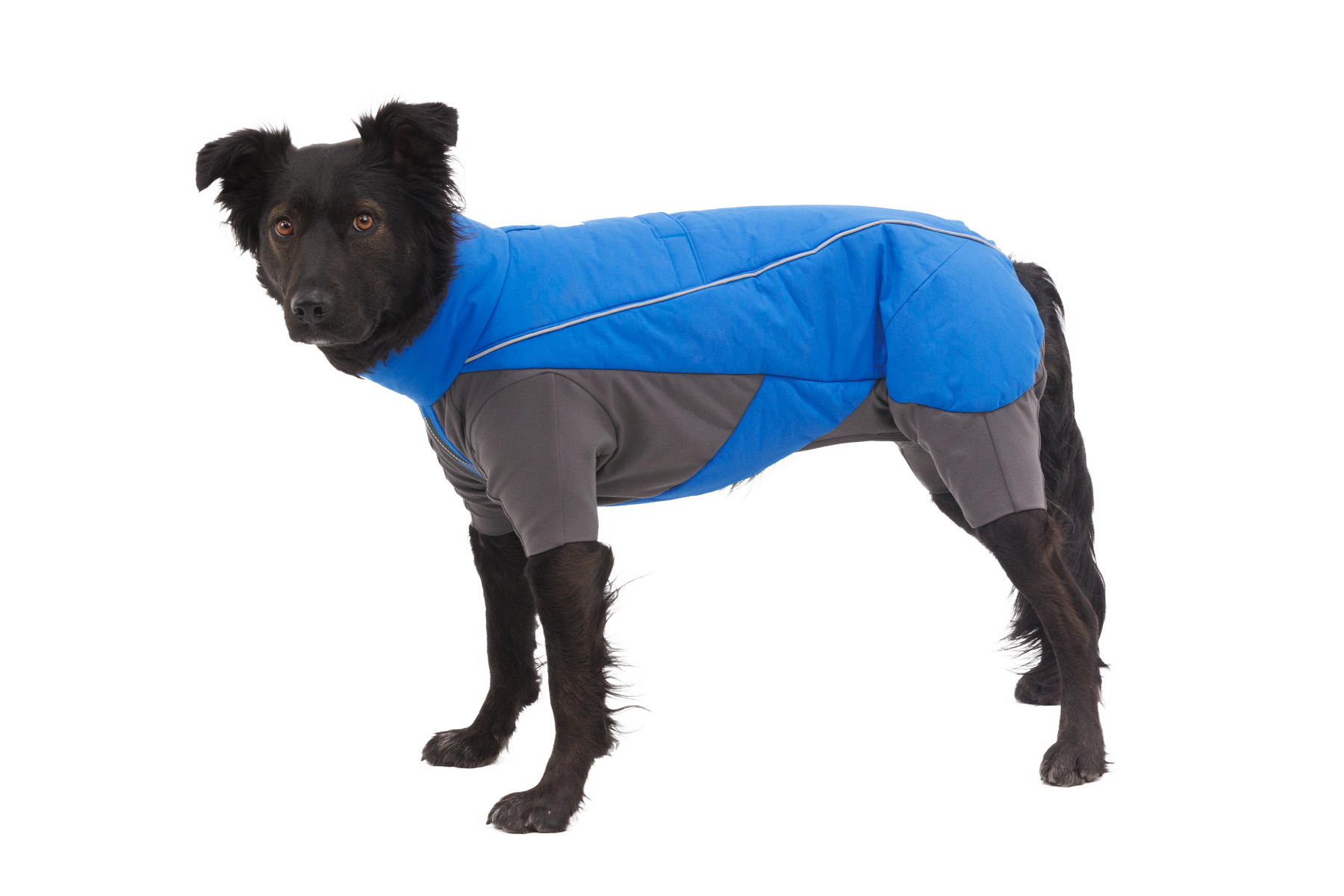 ruffwear-vert-coverall-combinaison-neige-imperm-able-pour-chien image 2