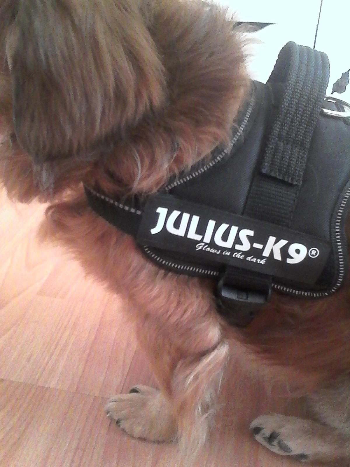 Confortable pour mon senior