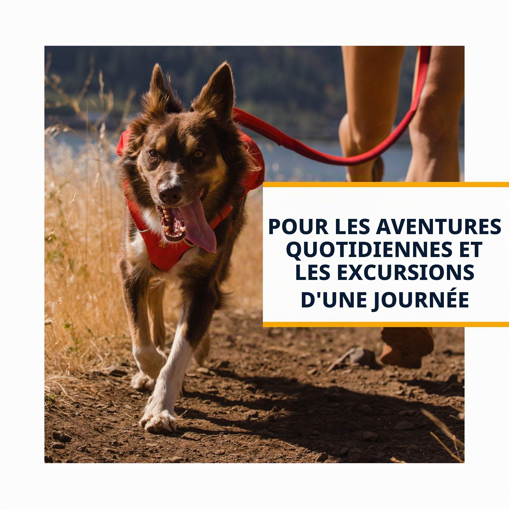 ruffwear-switchbak-harness-avec-poches-granite-gray-taille-s image 3