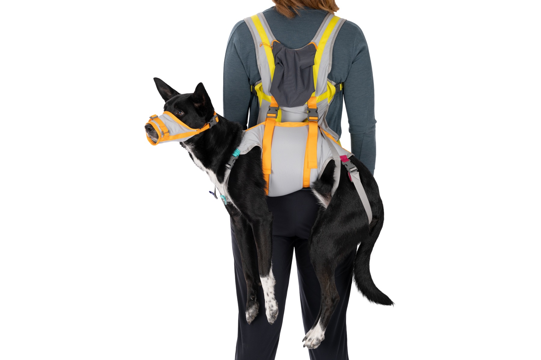 ruffwear-backtrak-kit-d-vacuation-pour-chien-gilet-portage-museli-re image 5