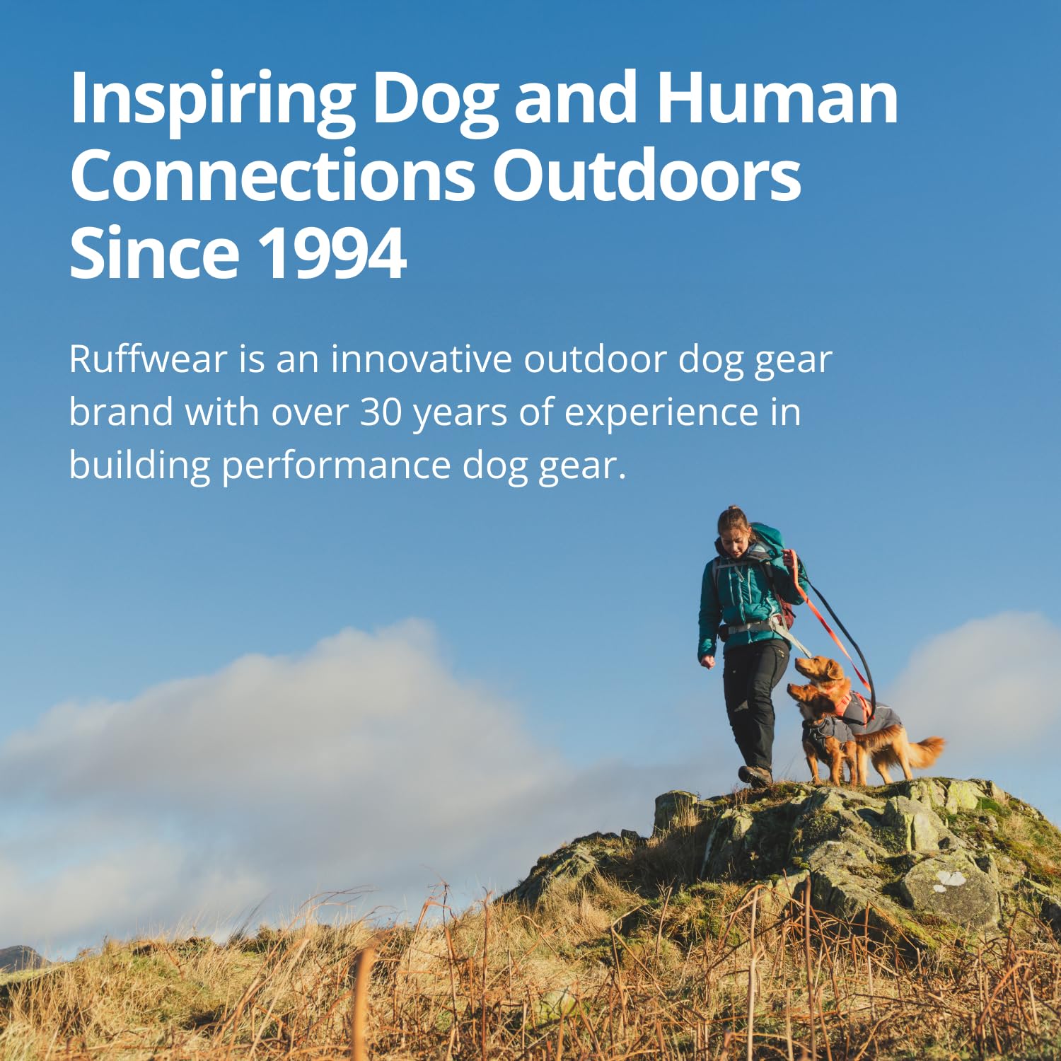 ruffwear-powder-hound-veste-isol-e-imperm-able-chien-orange-s image 7