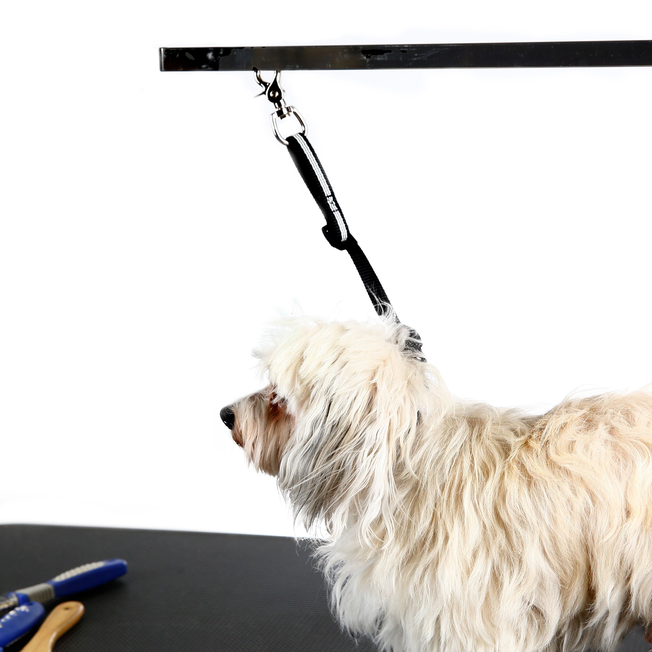 julius-k9-toilettage-loop-sangle-de-s-curit-r-glable-pour-table image 6