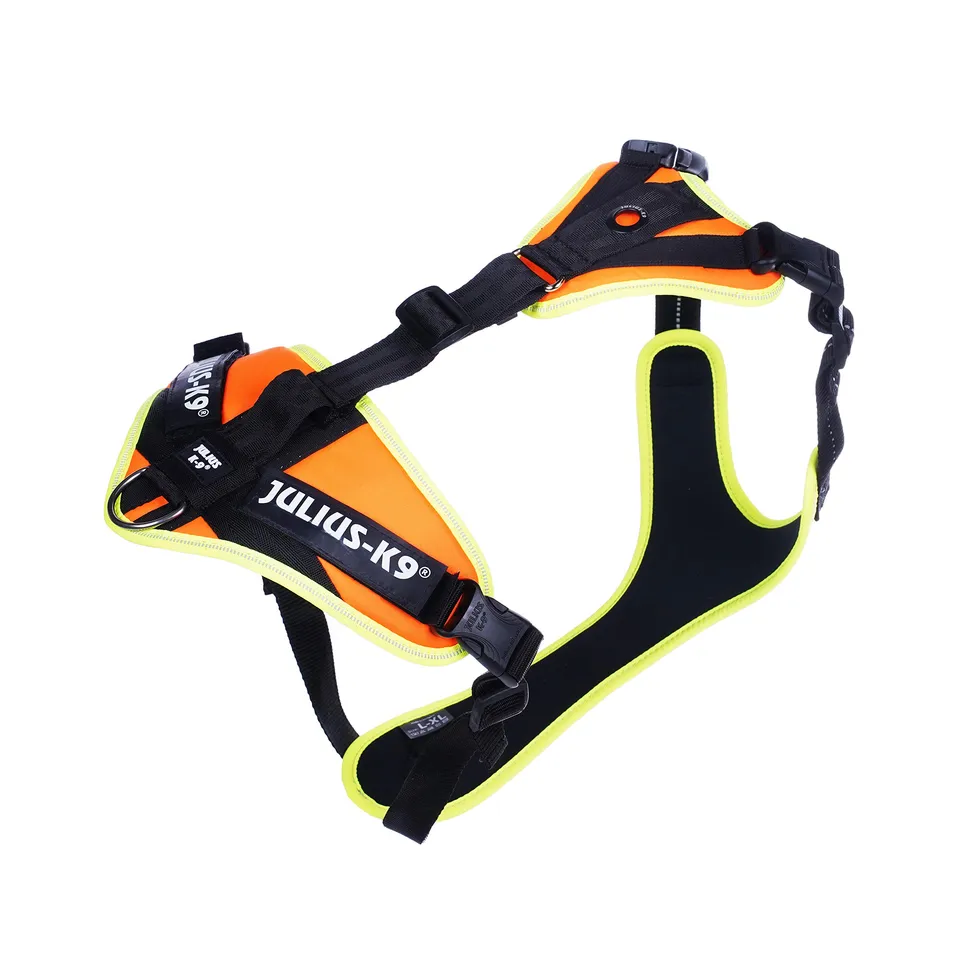 julius-k9-mantrailing-harnais-professionnel-pour-chien-taille-l-xl-orange-uv-n-o image 1