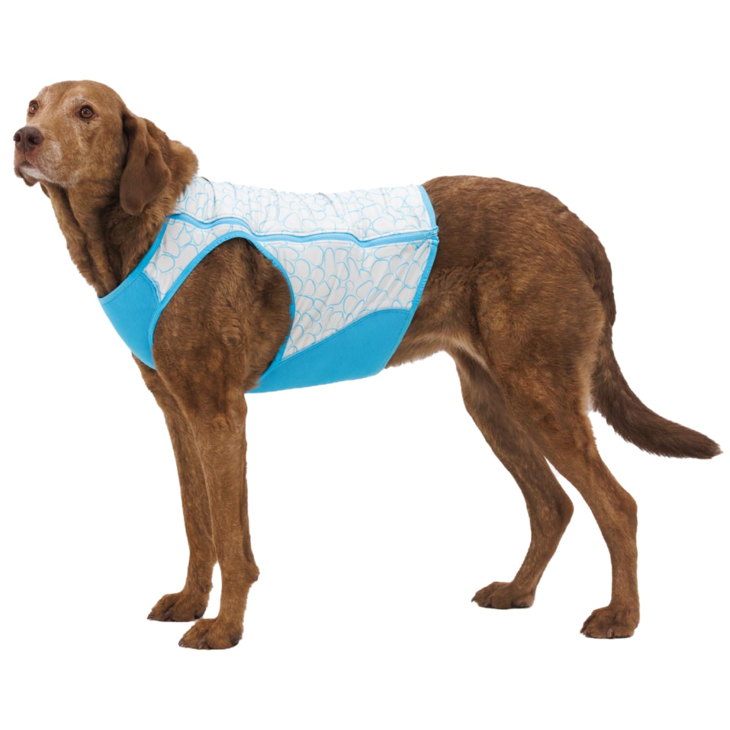 ruffwear-swamp-cooler-zip-gris-graphite-xxs image 6