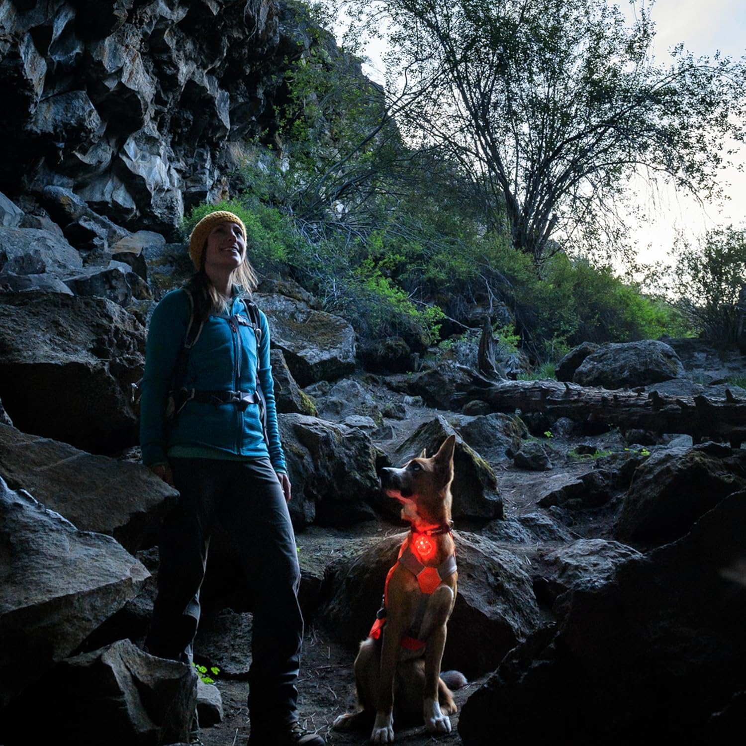 ruffwear-the-beacon-lampe-de-s-curit-led-pour-chien-clear-lake image 7