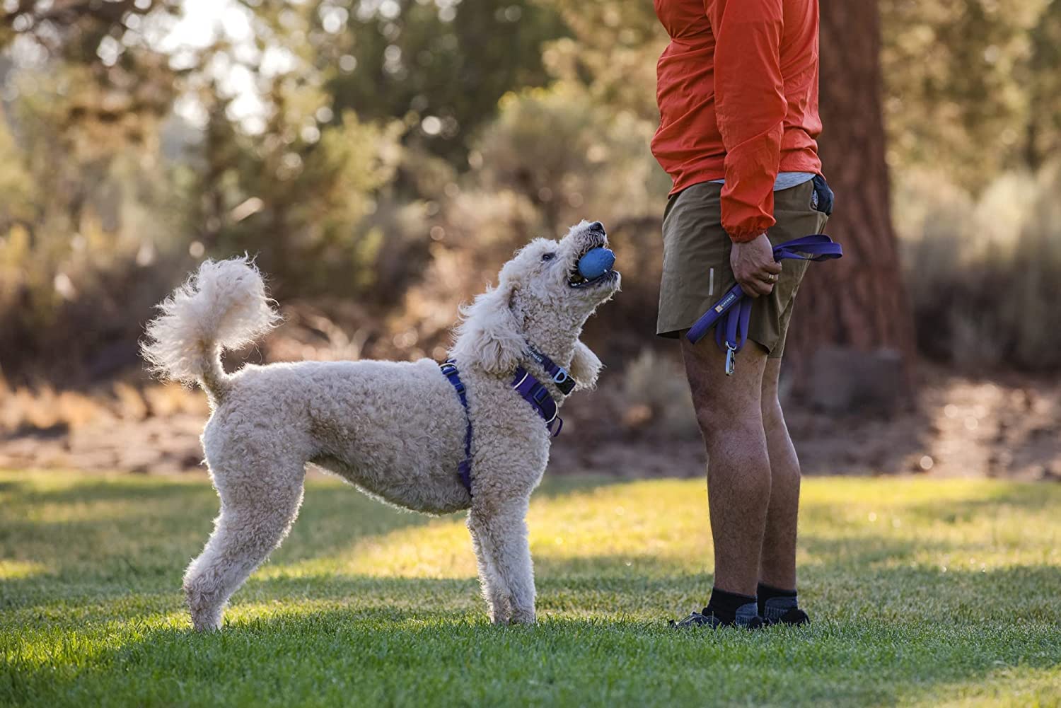 ruffwear-turnup-jouet-balle-rebondissante-pour-chien-violet-h-liotrope image 7