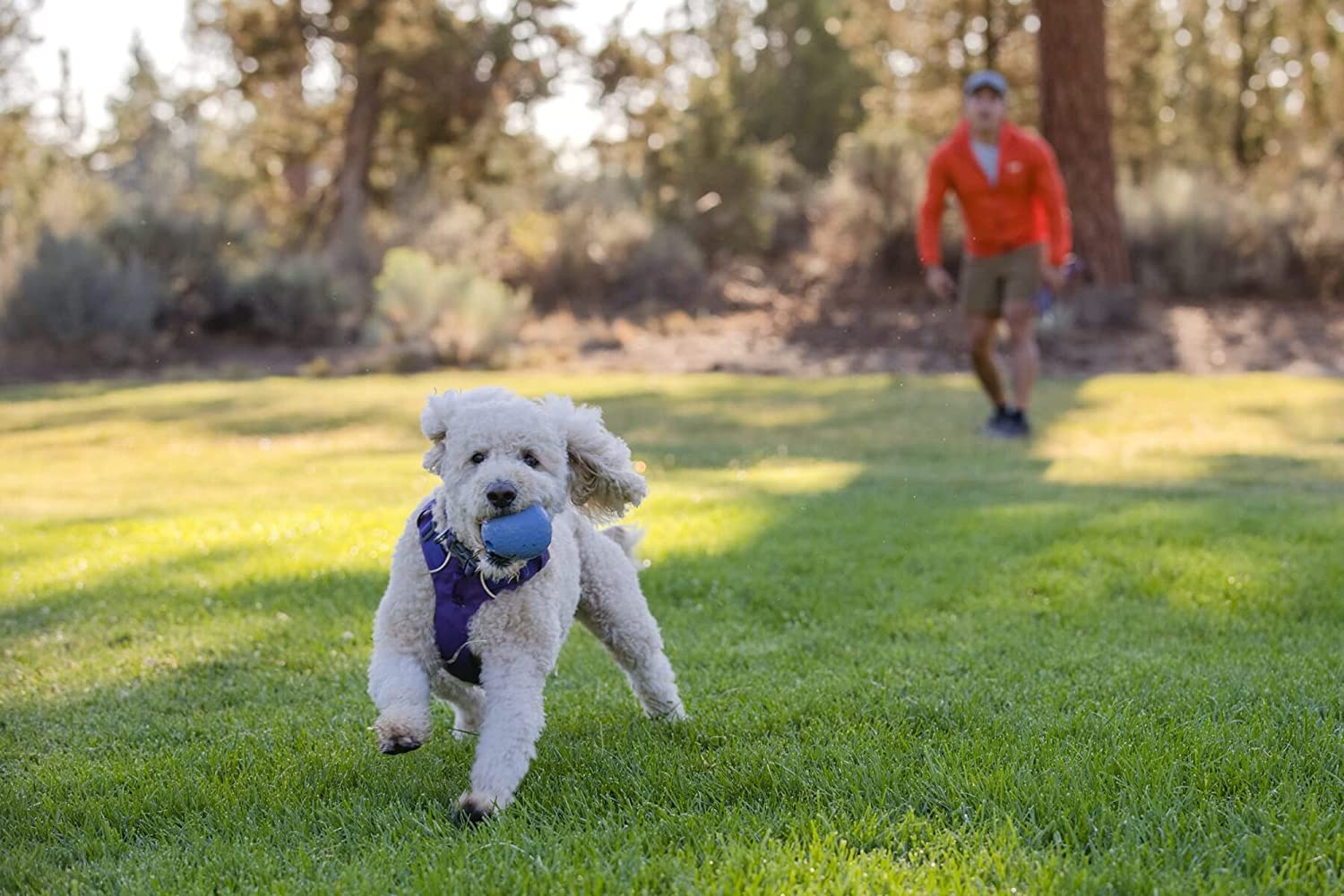 ruffwear-huckama-jouet-chien-caoutchouc-naturel-balle-oeuf-rebondissante image 8