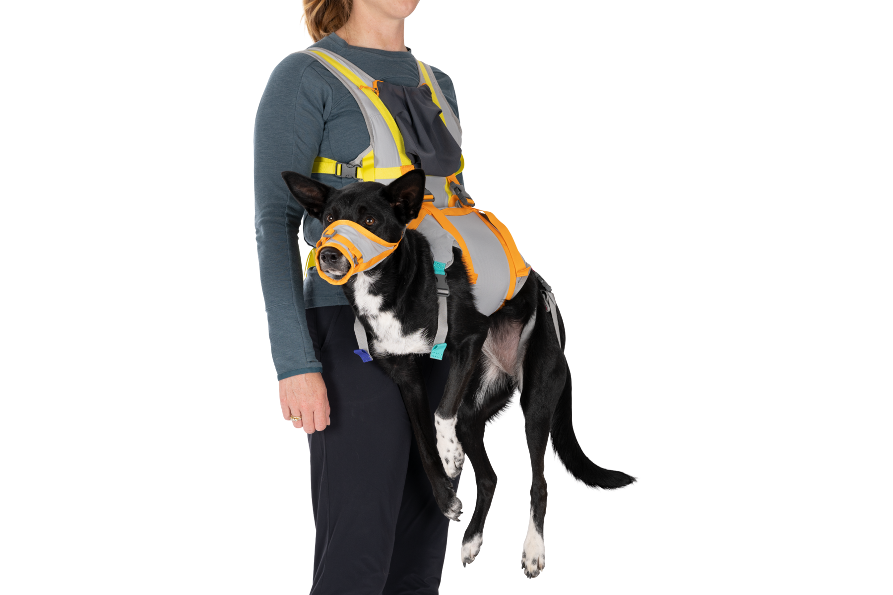 ruffwear-backtrak-kit-d-vacuation-pour-chien-gilet-portage-museli-re image 4
