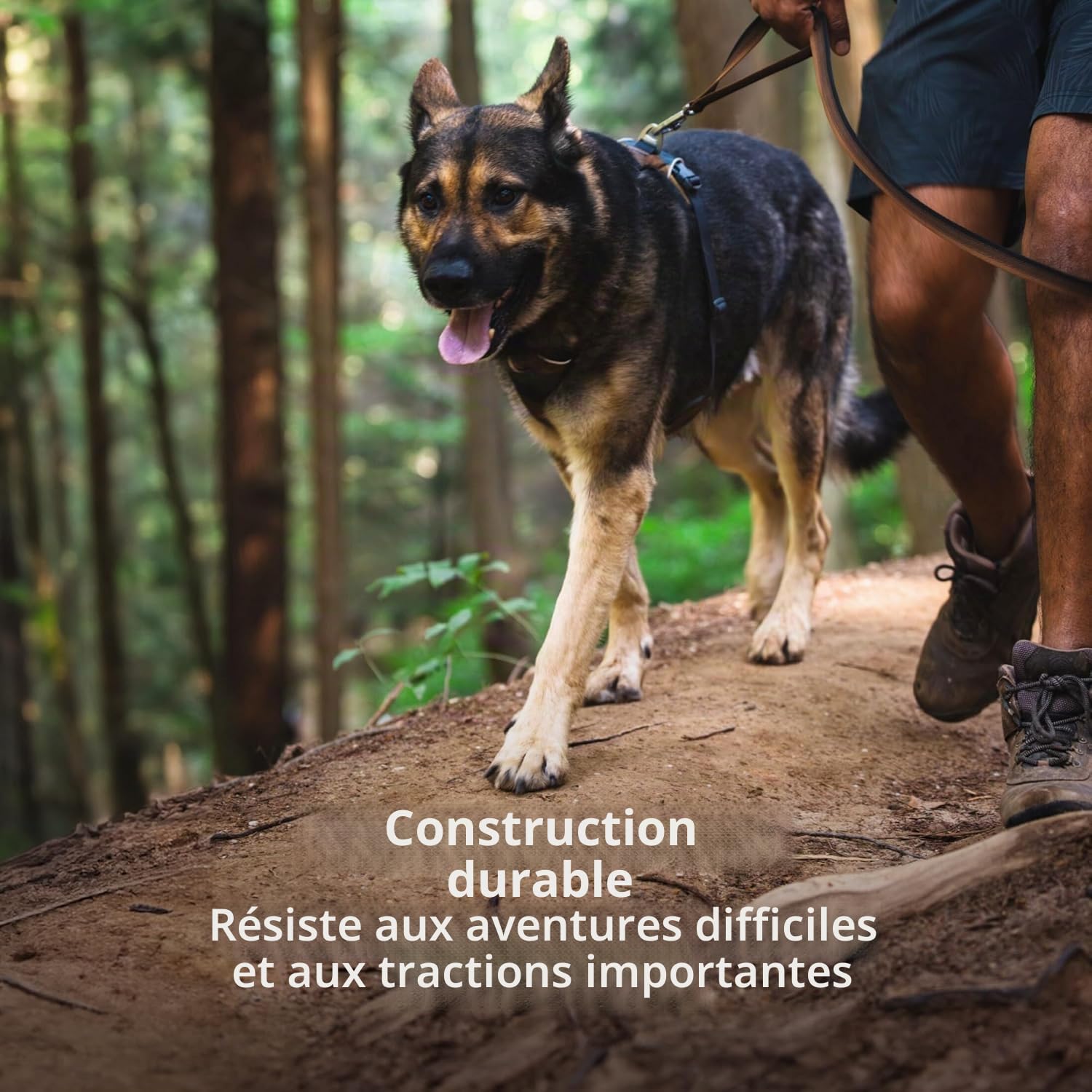 ruffwear-harnais-front-range-anti-traction-basalt-gray-small image 8