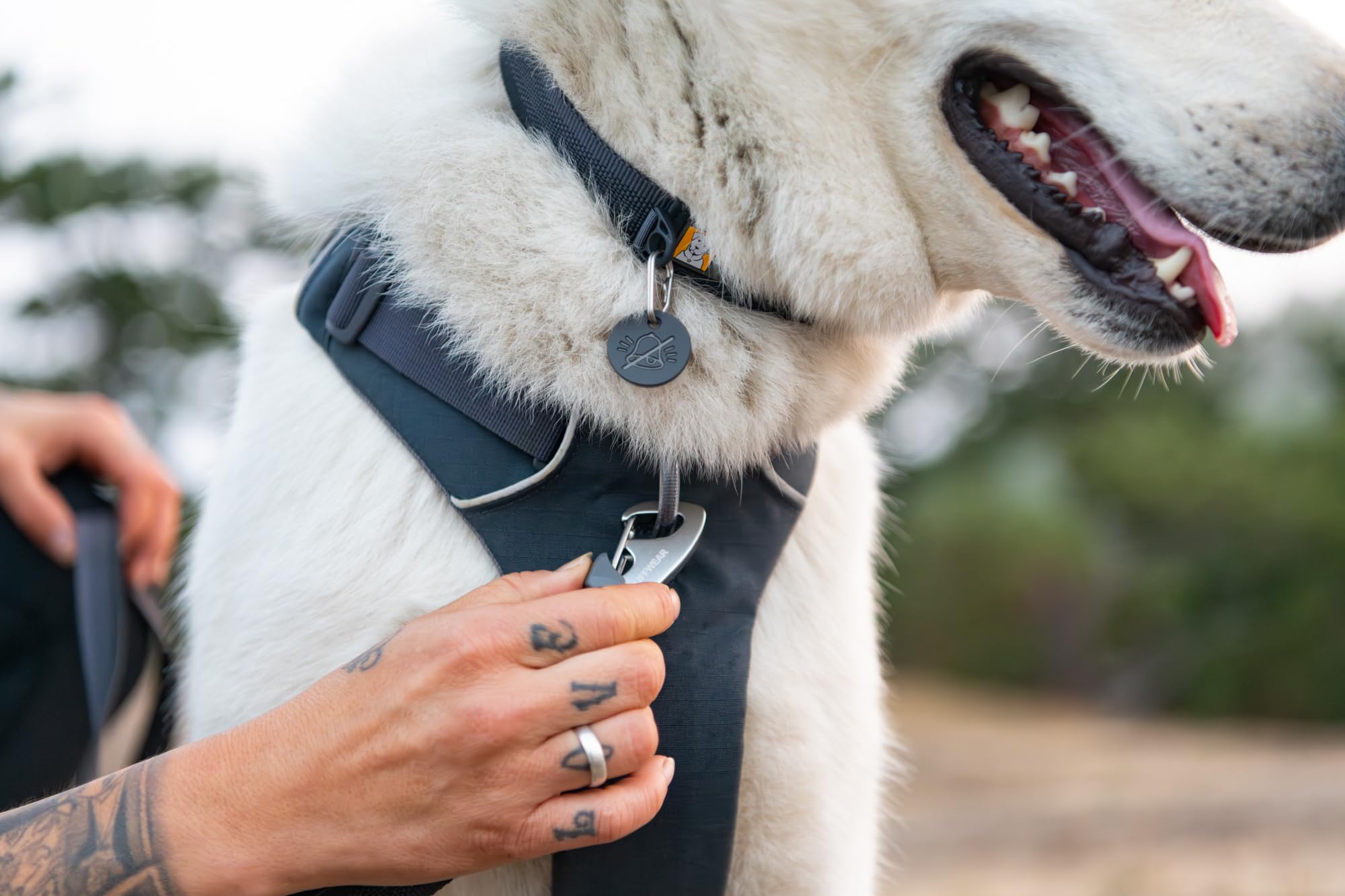 ruffwear-front-range-collier-chien-basalt-gray-14-20 image 3
