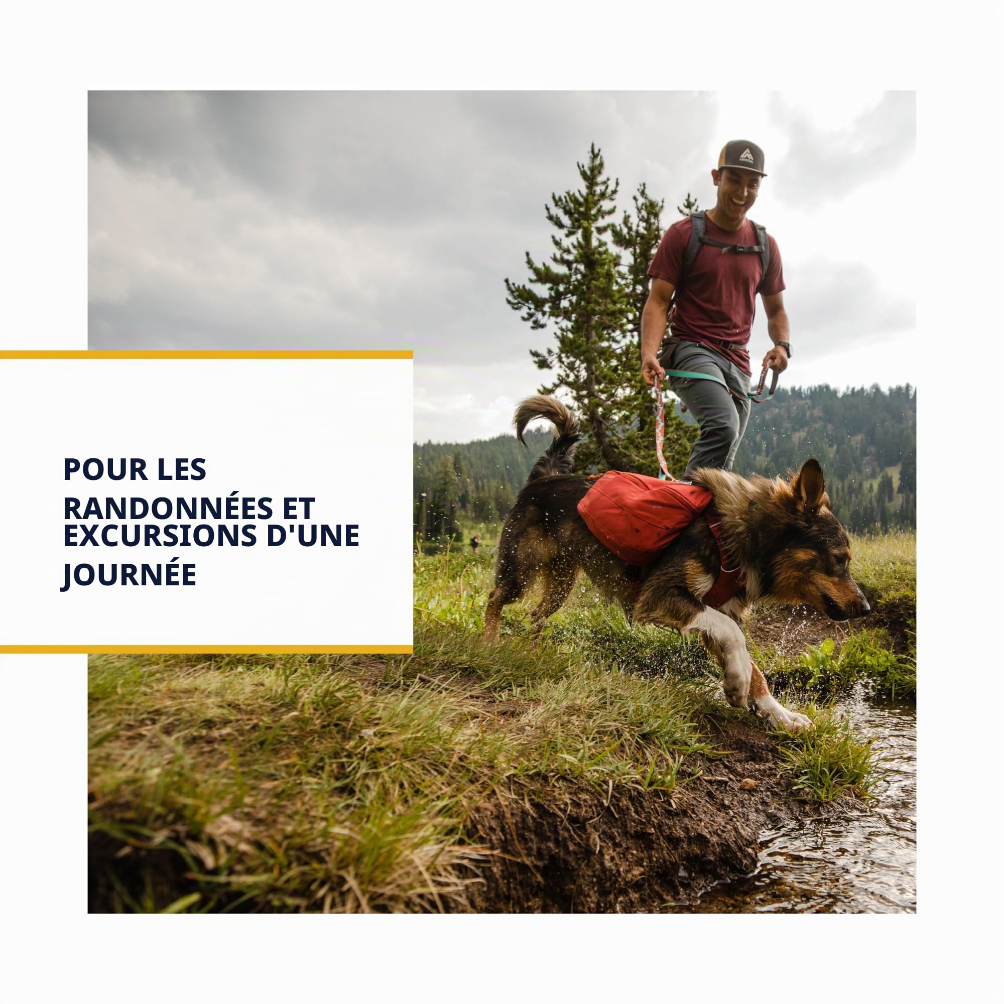 ruffwear-front-range-sac-dos-de-randonn-e-pour-chien image 3