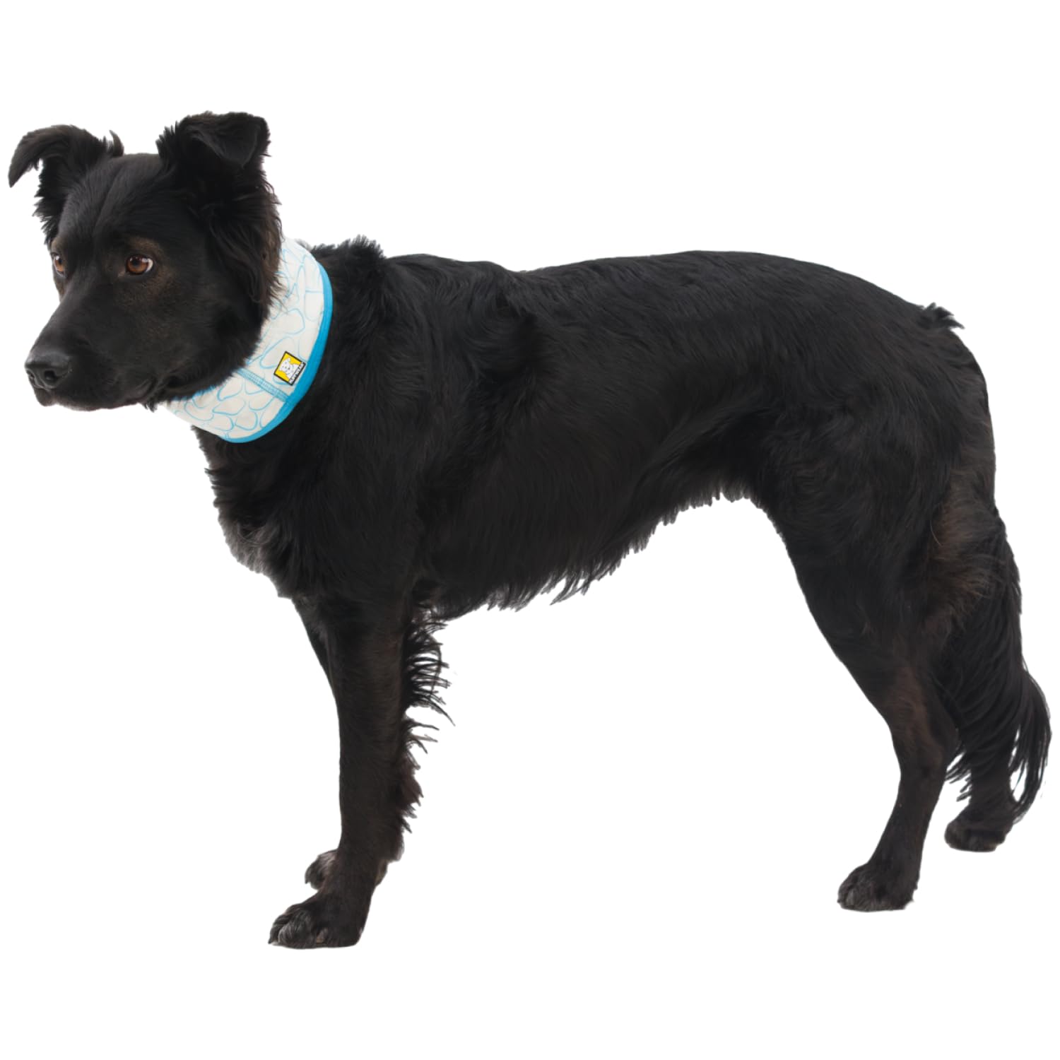 ruffwear-swamp-cooler-gu-tre-de-cou-rafra-chissante-pour-chien-gris-graphite-tai image 3