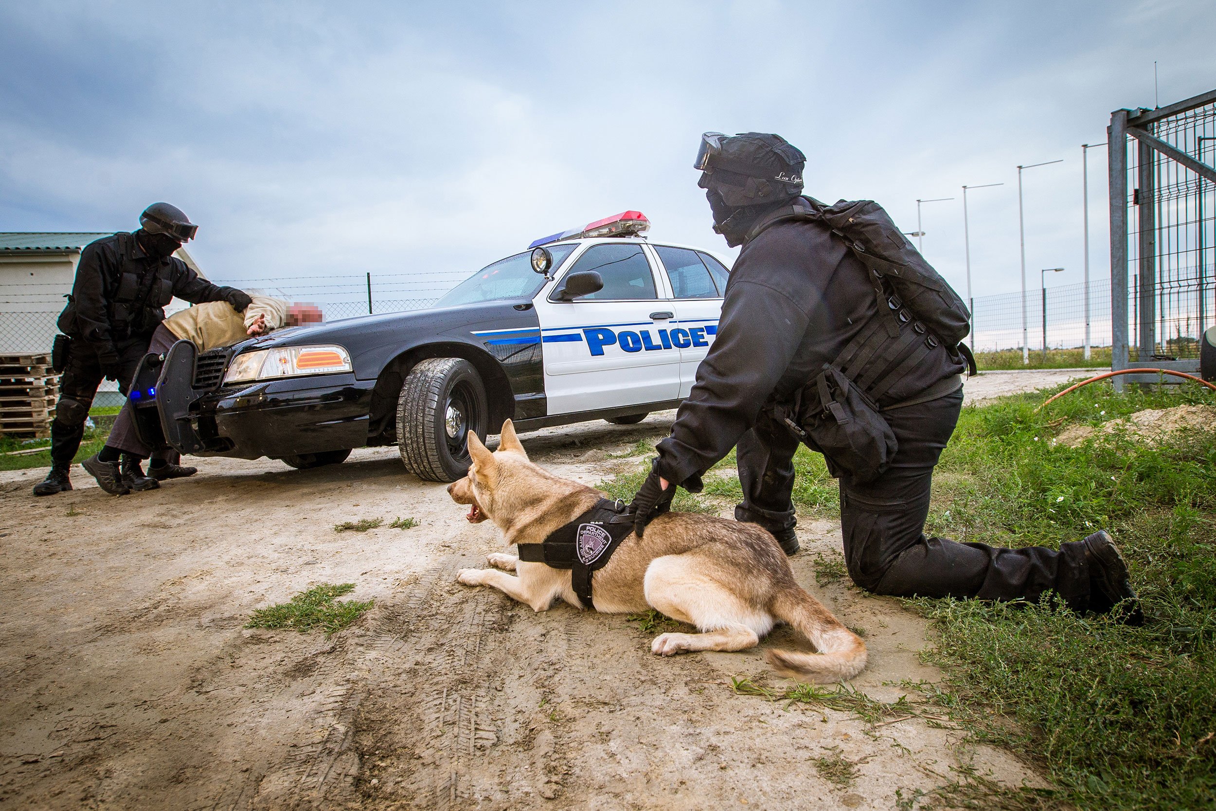 julius-k9-idc-power-stealth-harnais-chien-taille-l-1-noir image 5