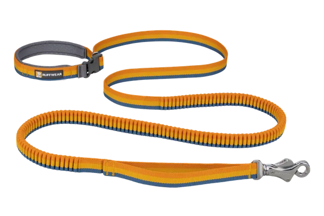 ruffwear-roamer-laisse-lastique-mains-libres-chien image 1