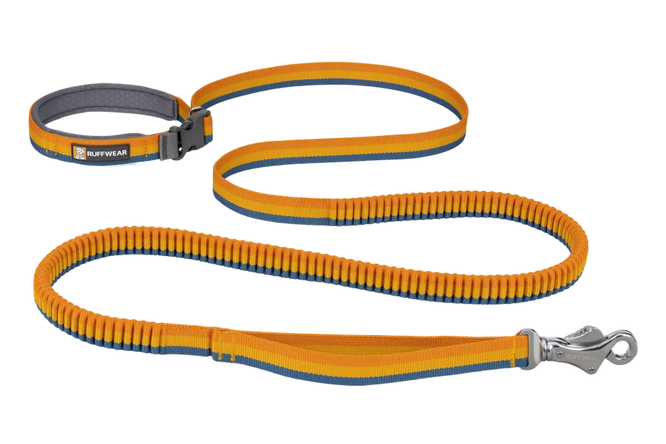 ruffwear-roamer-laisse-lastique-mains-libres-chien image 1