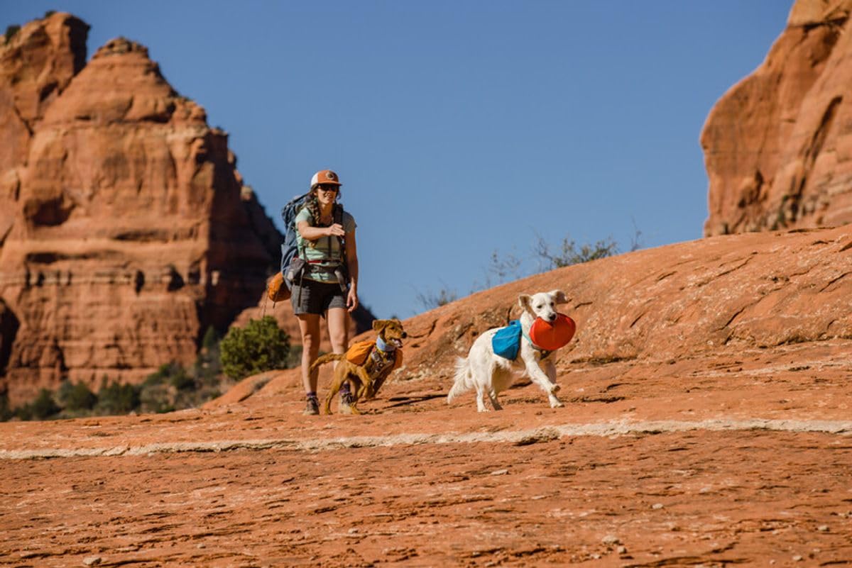 ruffwear-camp-flyer-disque-jouet-pour-chien-rouge image 4