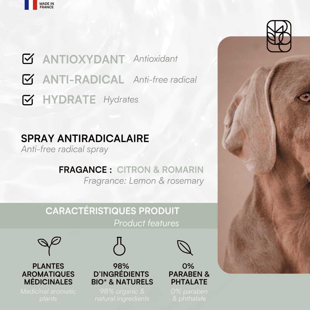 biogance-algo-protect-spray-protection-pelage-algues-romarin-chien-chat image 3