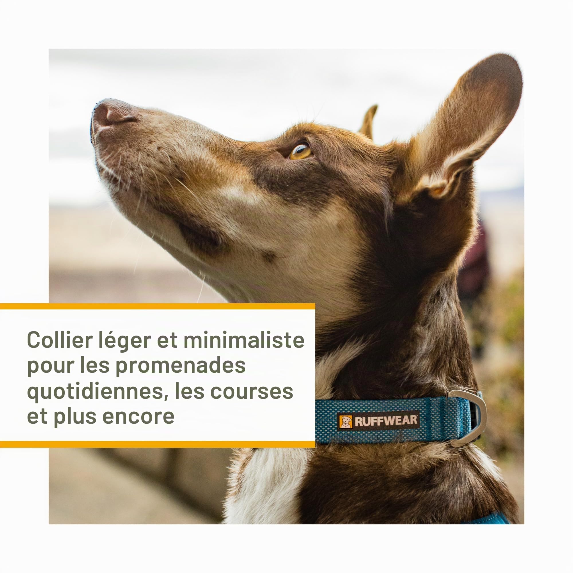ruffwear-hi-light-collier-chien-l-ger-36-51-cm-basalt-grey image 3