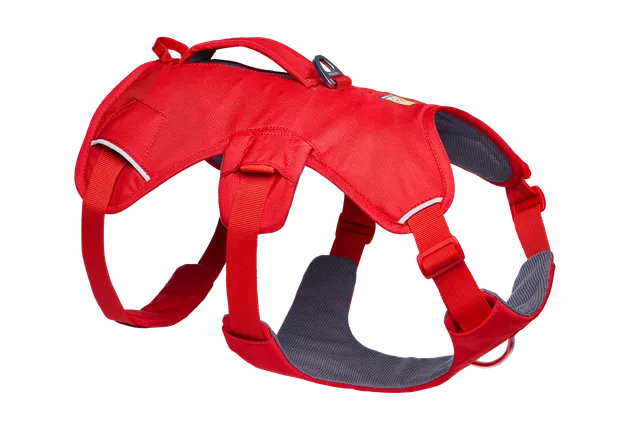 ruffwear-web-master-harnais-pour-chien-avec-poign-e-2 image 1