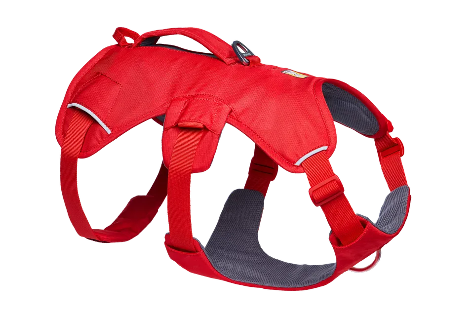 ruffwear-web-master-harnais-pour-chien-avec-poign-e-2 image 1