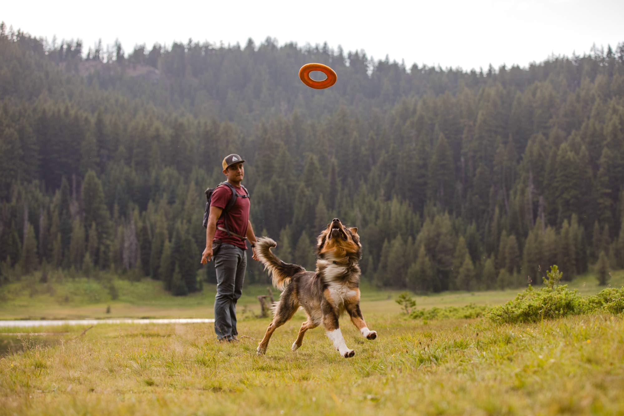 ruffwear-hydro-plane-disque-volant-flottant-taille-m-bleu-biolumin image 5
