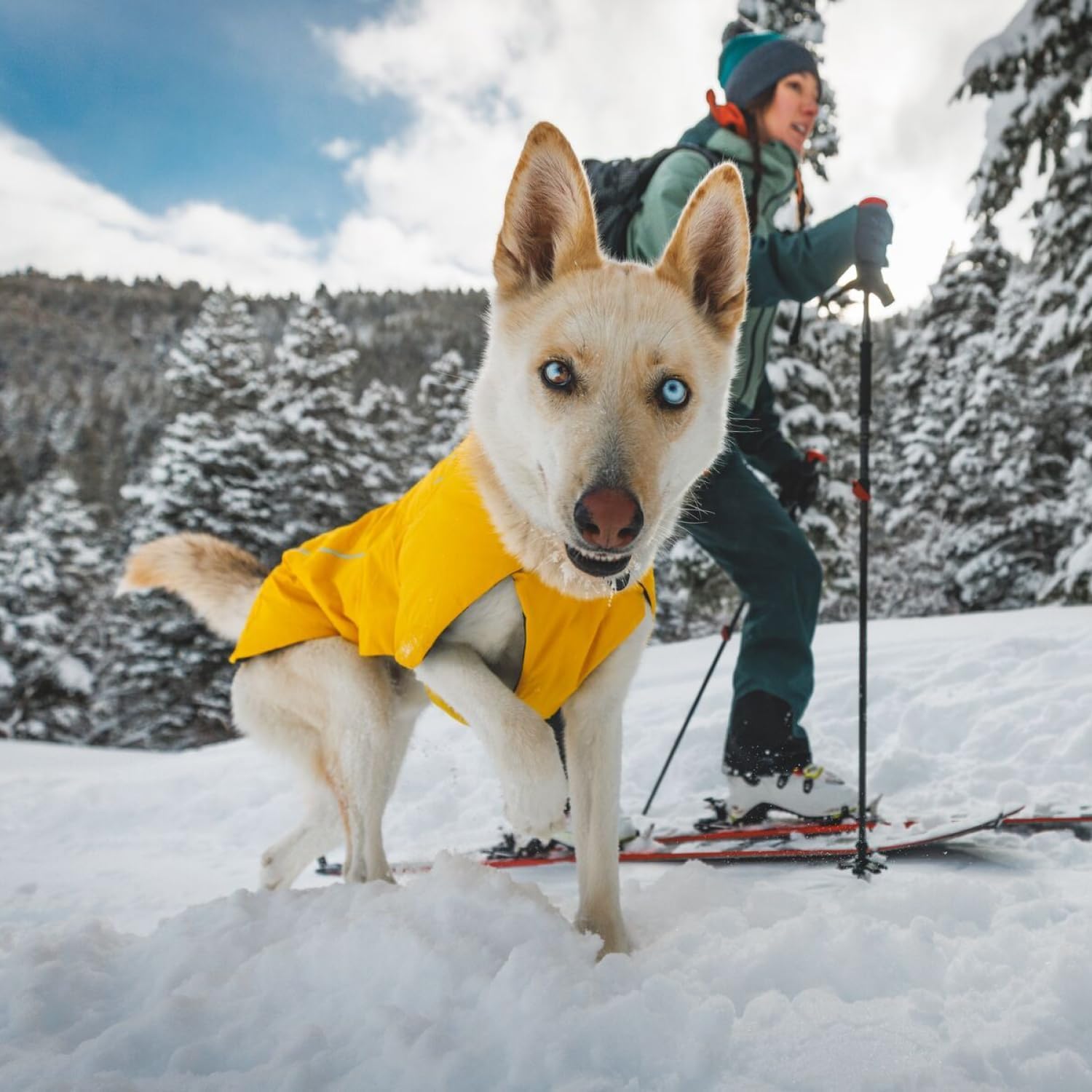 ruffwear-vert-veste-imperm-able-d-hiver-pour-chien-vert image 8