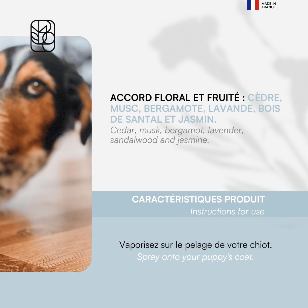 biogance-pure-male-parfum-sans-alcool-chien-c-dre-musc image 4