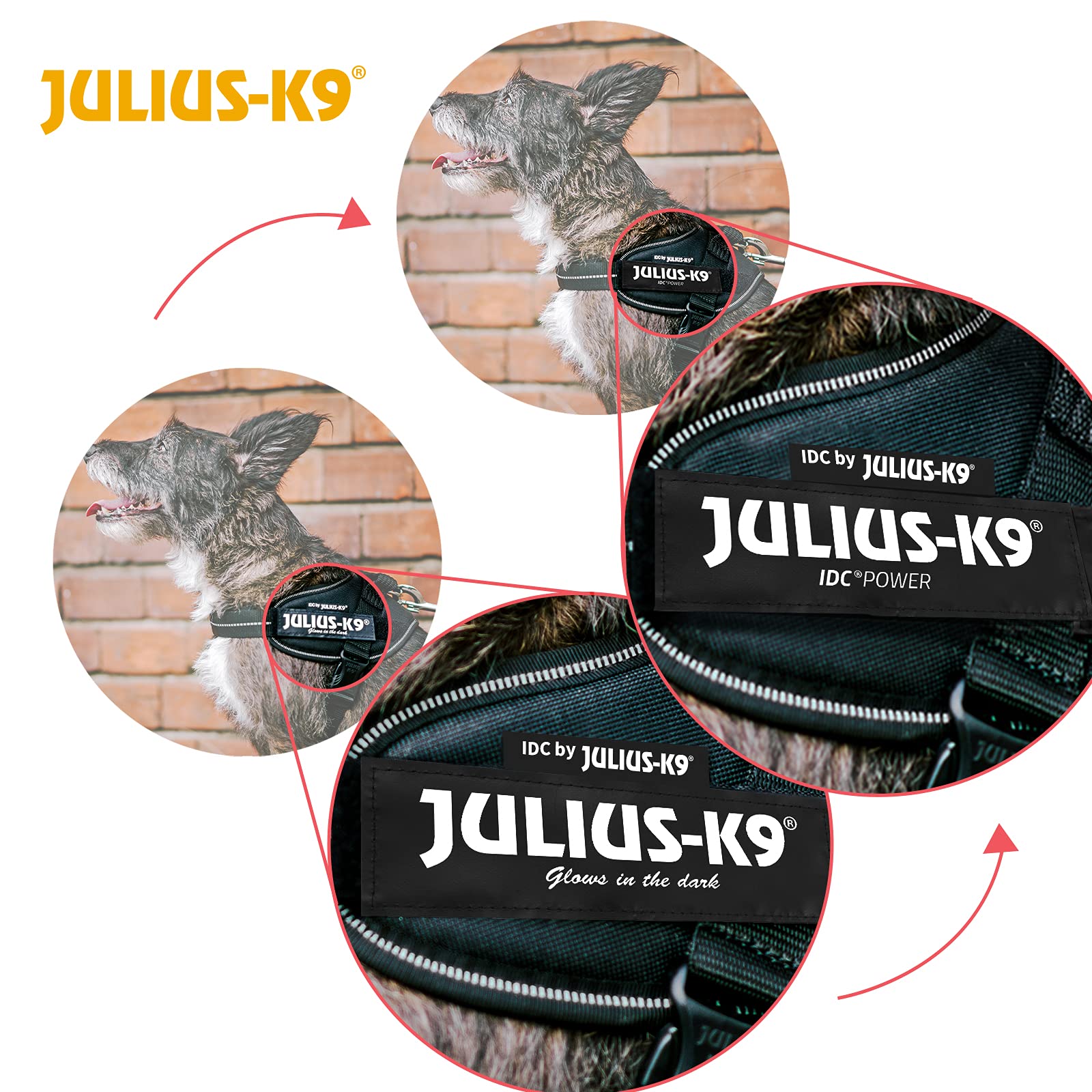 julius-k9-harnais-idc-power-avec-ceinture-y-taille-l-1-noir image 7