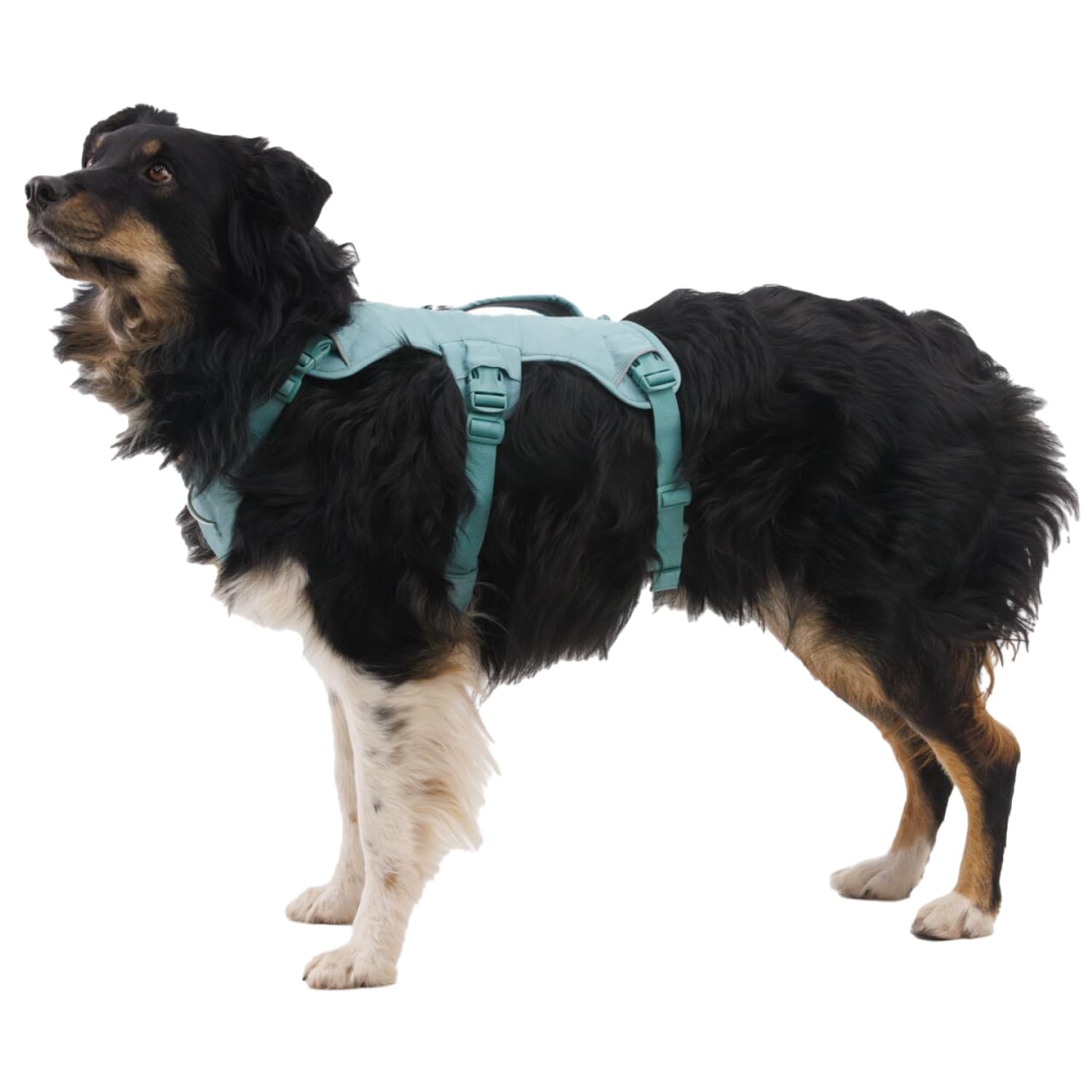 ruffwear-web-master-harnais-anti-fuite-chien-blaze-orange-s image 4