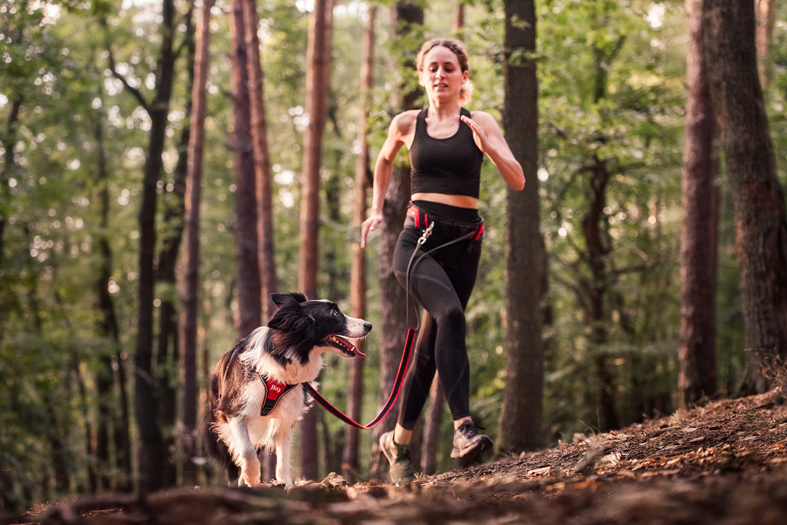 julius-k9-jk9-speed-belt-ceinture-de-jogging-canicross-rouge image 4