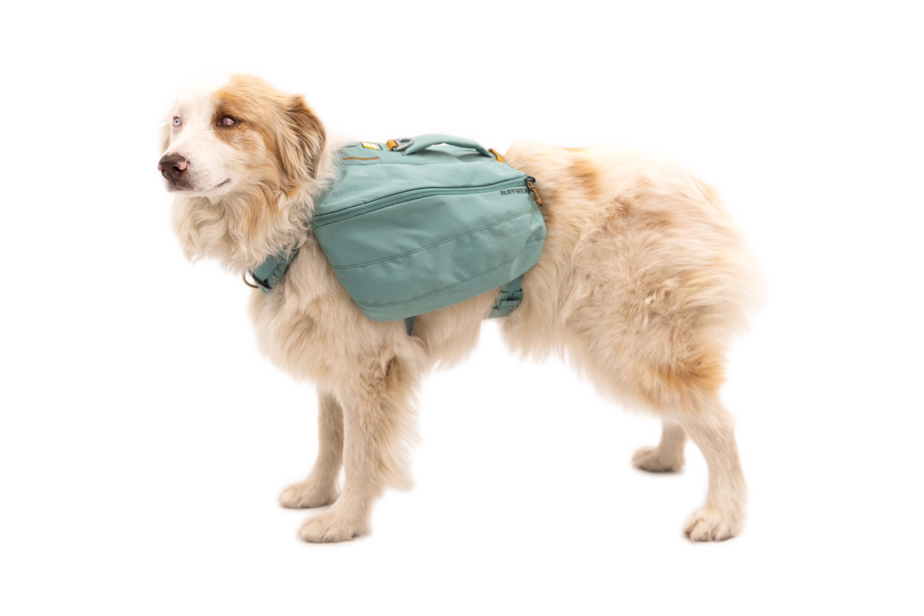 ruffwear-front-range-day-pack-sac-dos-pour-chien image 8