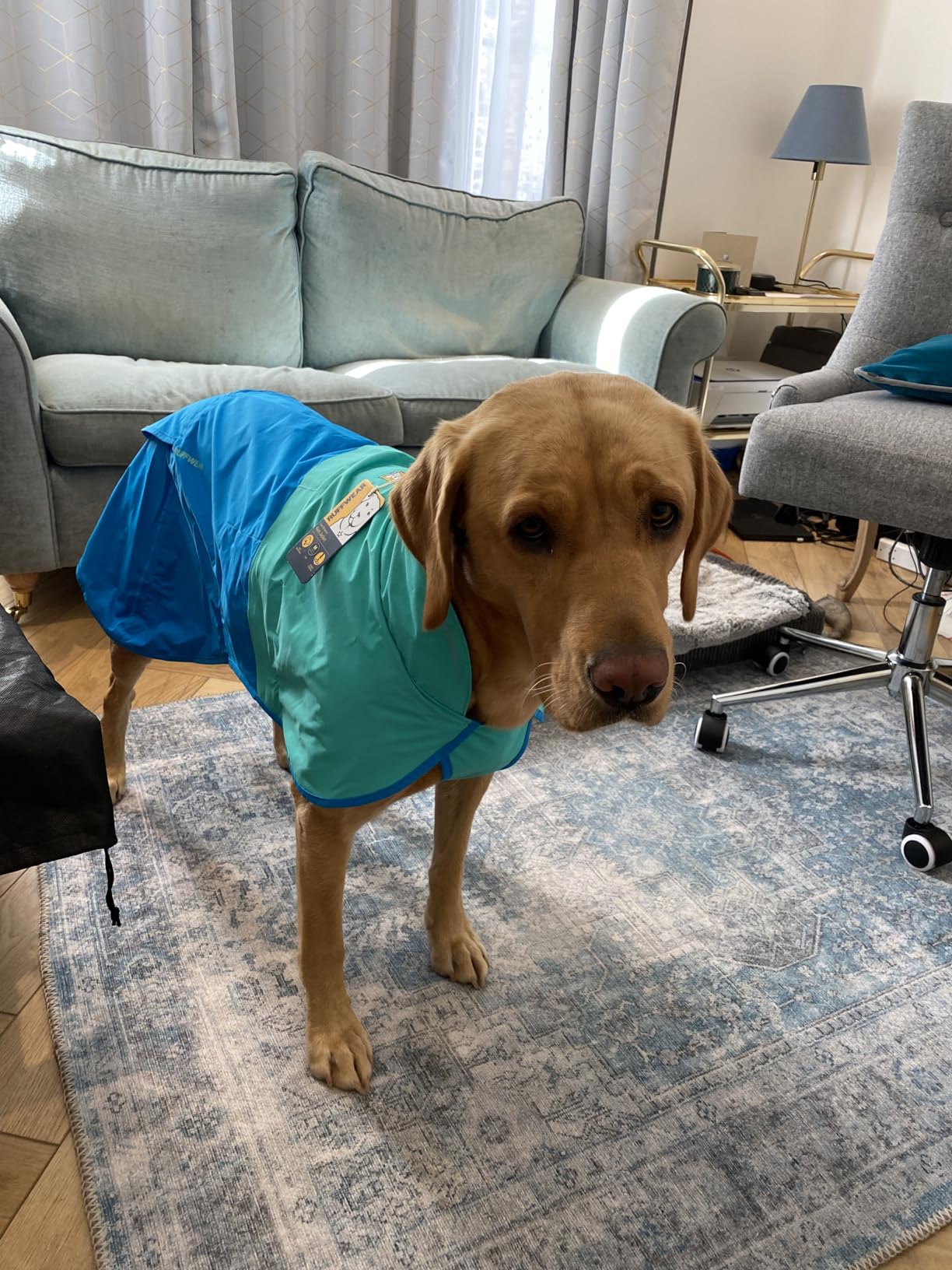 Imperméable parfaite
