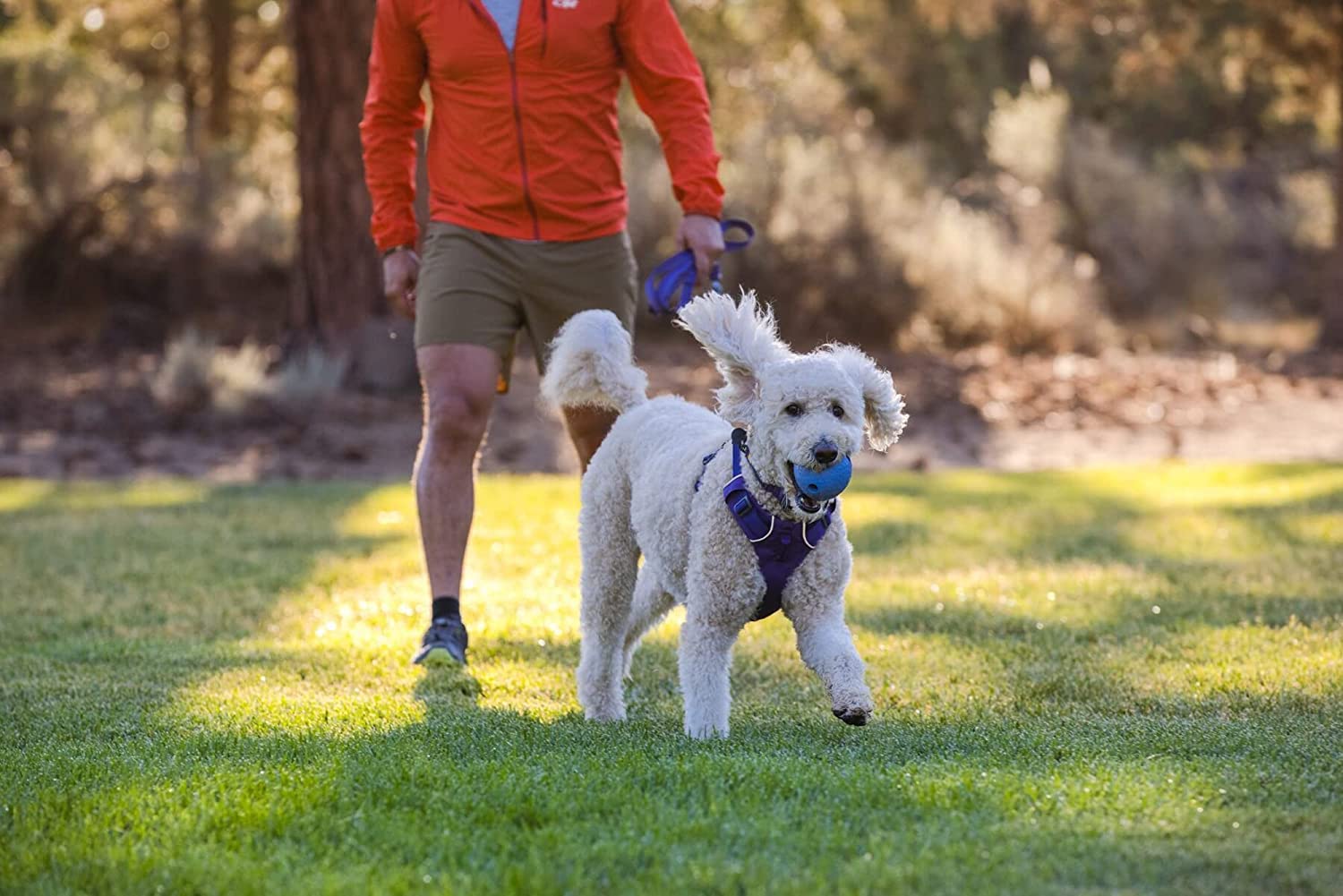 ruffwear-huckama-jouet-chien-caoutchouc-naturel-balle-oeuf-rebondissante image 7