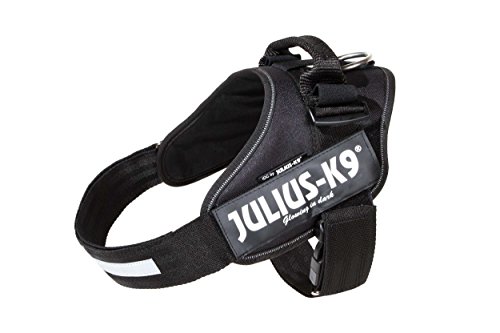 julius-k9-idc-power-harnais-chien-taille-1-noir image 4