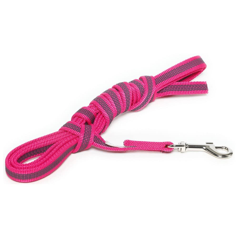 julius-k9-super-grip-laisse-antid-rapante-20-mm-x-1-2-m-bleu-gris image 3