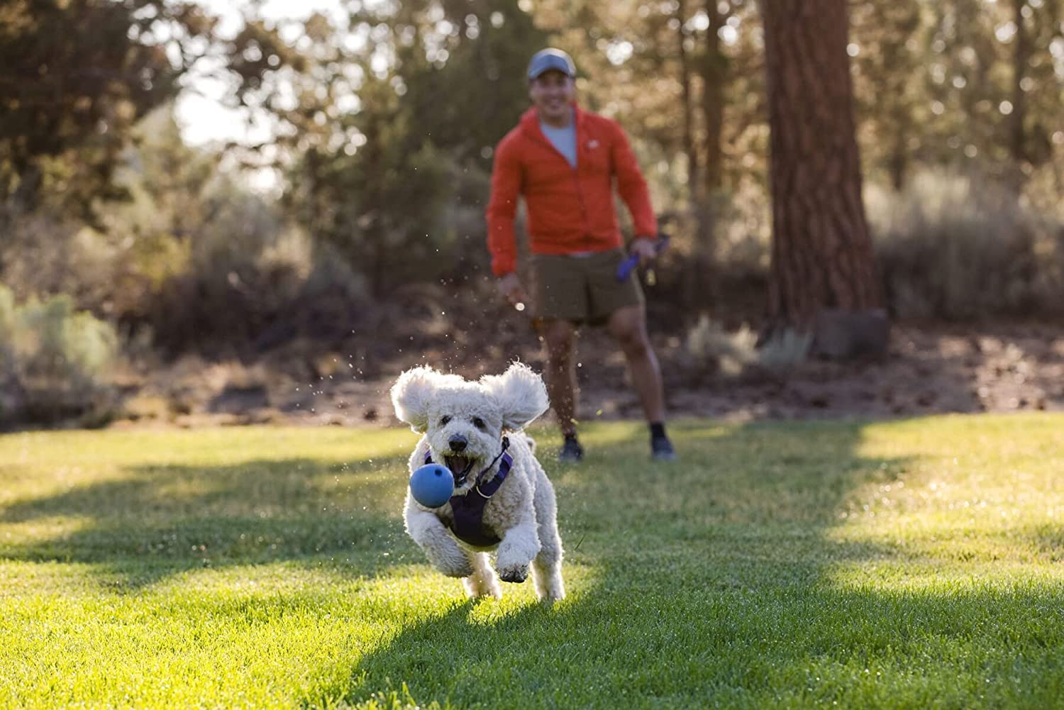 ruffwear-huckama-jouet-chien-caoutchouc-naturel-balle-oeuf-rebondissante image 6