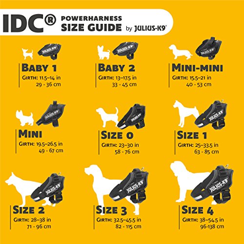julius-k9-idc-power-harnais-chien-taille-1-noir image 5