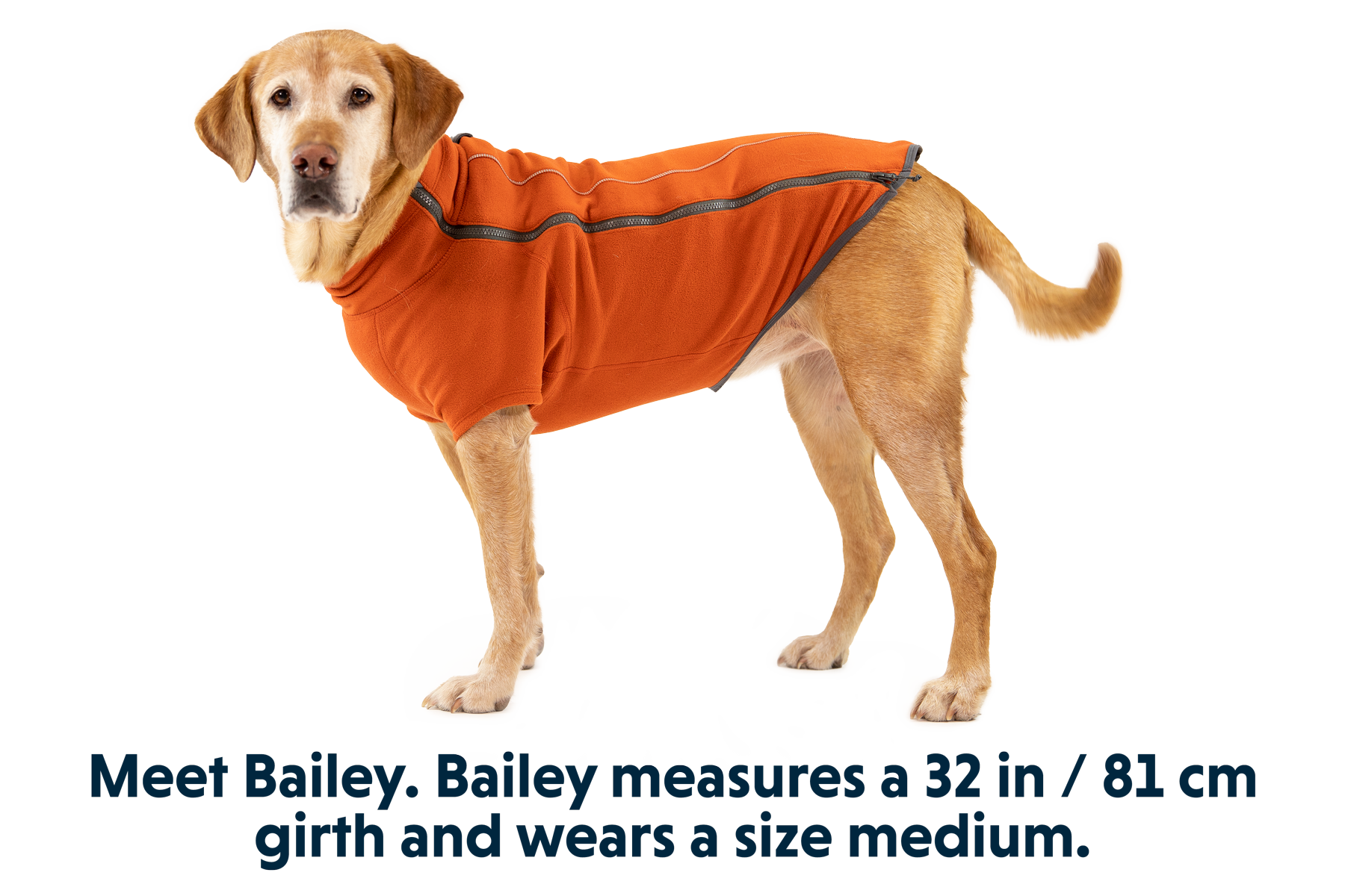 ruffwear-climate-changer-polaire-pour-chien-avec-manches image 8