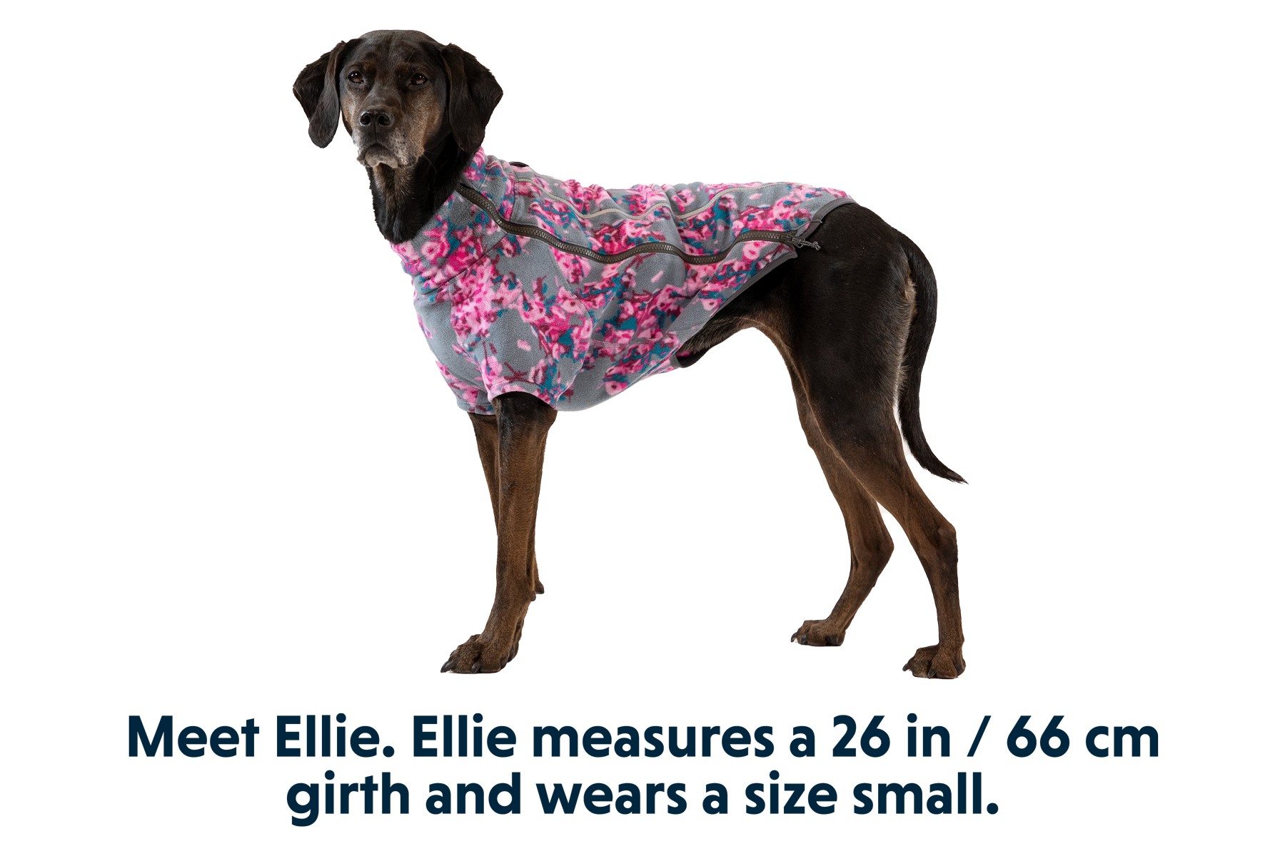 ruffwear-climate-changer-polaire-pour-chien-avec-manches image 4