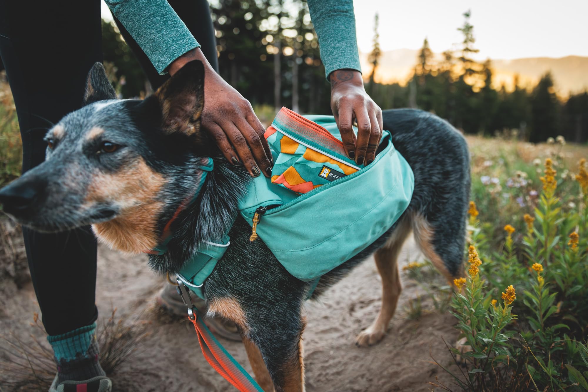 ruffwear-quencher-gamelle-pliable-pour-chien-moonlight-mountains-taille-m image 7