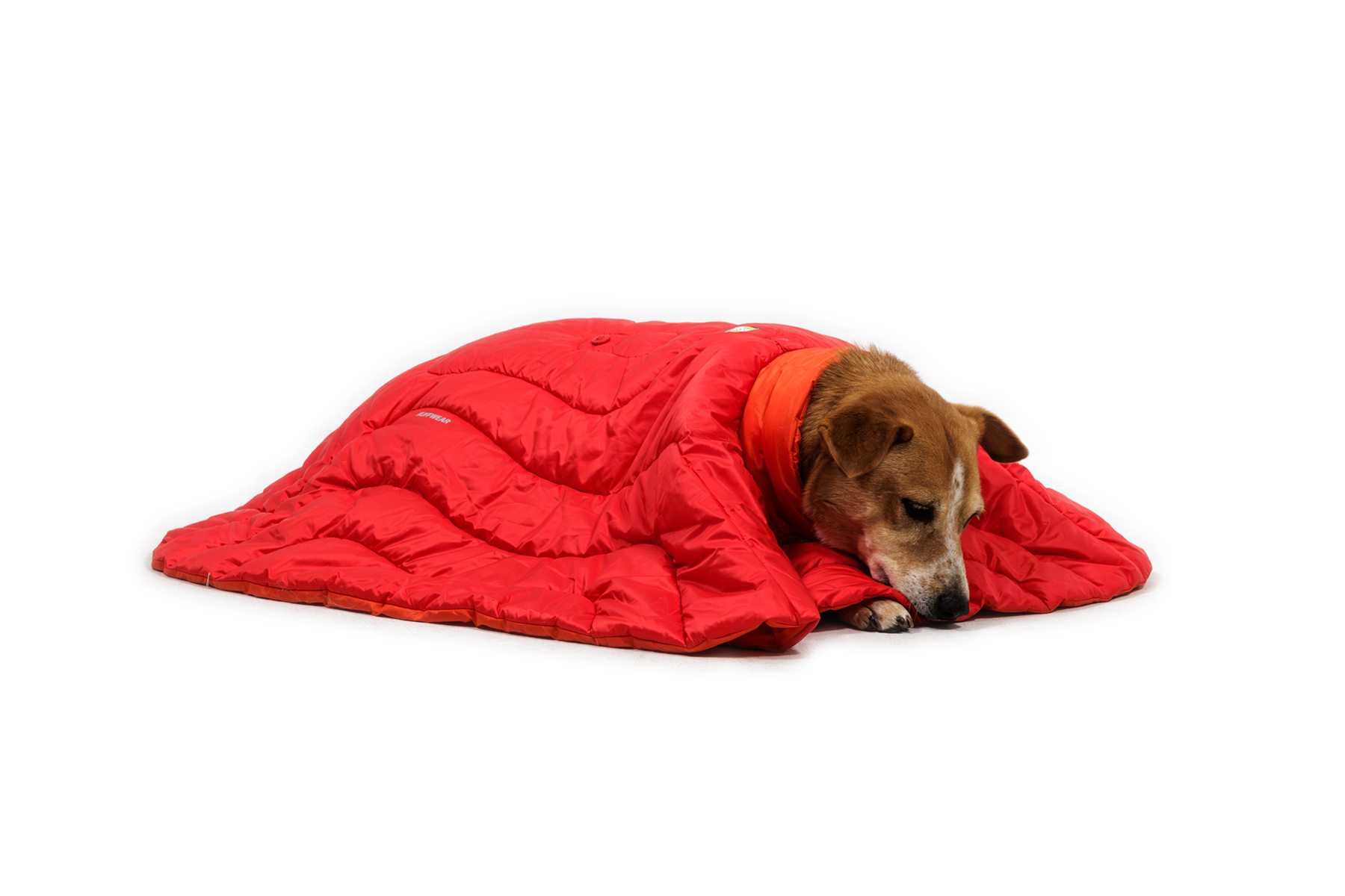 ruffwear-palisades-sleep-poncho-poncho-sac-de-couchage-chien image 6